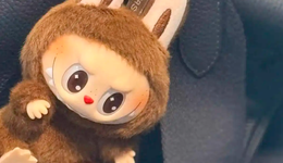 溢价百倍，Labubu，全球年轻人疯抢的“中国奢侈品挂件”