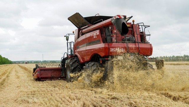 【深度】河南小麦收割进度过半，重旱影响几何？