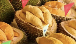 讓中產(chǎn)“打起來”的榴蓮，已經(jīng)成為水果界的泡泡瑪特