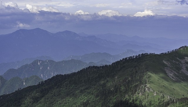 长期组织人员非法穿越秦岭，陕西一旅行社被追究生态环境损害责任