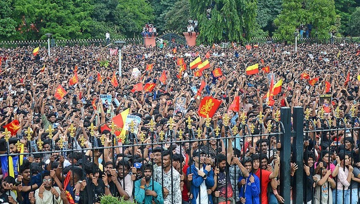 印度,踩踏,板球,庆祝,莫迪,国大党