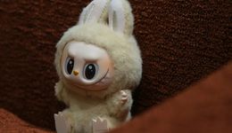 潮玩吃肉，谷子店湯都喝不到？