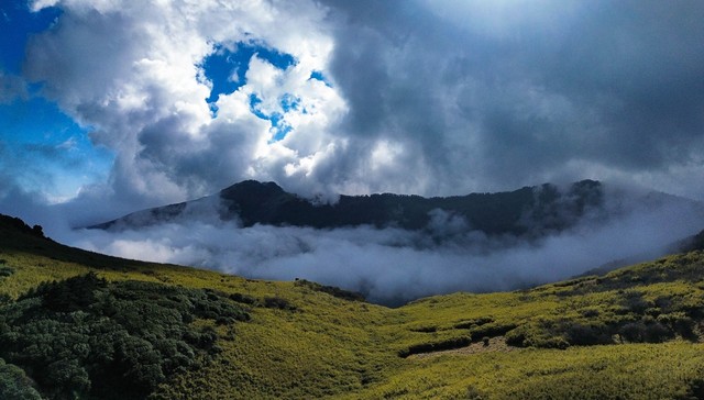 日薪500元！神农架景区 “野人” 热招，近4000人报名
