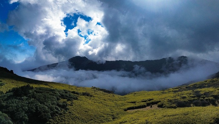 日薪500元！神农架景区 “野人” 热招，近4000人报名