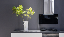 潘叶江“上位”十年，华帝“冰火两重天”？