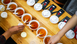 爆火的养生水，还得长期“煎熬”