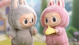 108万的Labubu，才不是王宁的“上限”