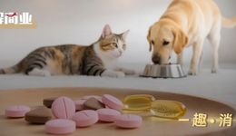 這屆鏟屎官，每年花上萬元給寵物“養(yǎng)生保健”