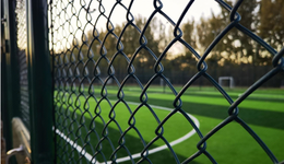 “苏超”爆火带热共创草坪9连涨，“草坪大王”身价已超百亿