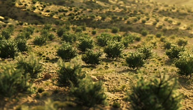 直通部委｜我国十余年完成沙化土地治理3.65亿亩 中方正组织撤离在伊以的中国公民