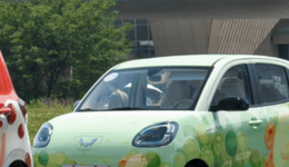 县城青年，买爆“剁椒鱼头车”