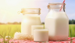 IPO雷达 | 奶源自给率偏低，百菲乳业力争“水牛奶第二股”