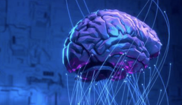 年漲幅500倍，瘋狂的腦機接口