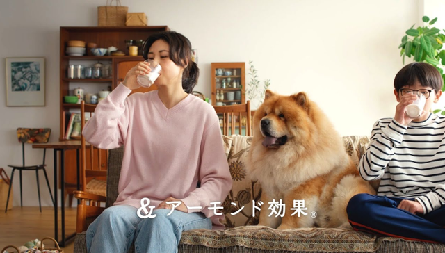 占90%份额的日本扁桃仁奶top1，盯上了中国市场