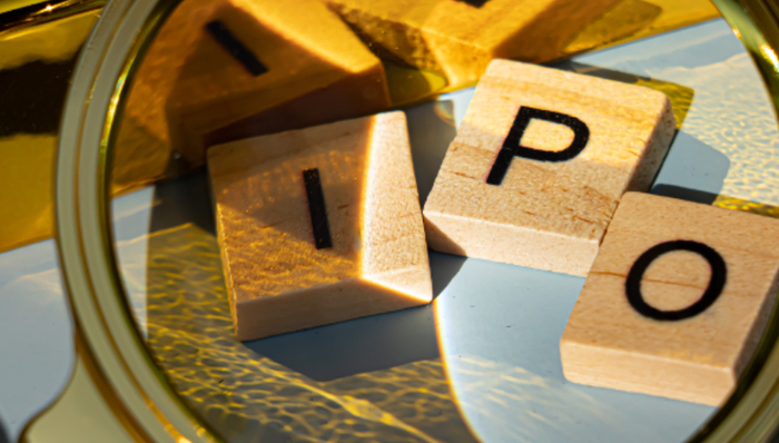 斯坦德,具身智能,