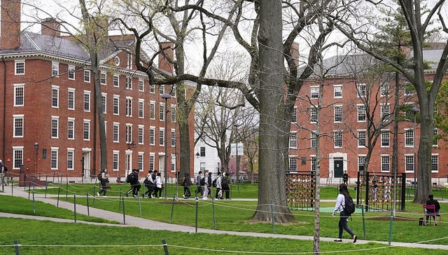 哈佛大学,多伦多大学,国际学生,签证,特朗普,谈判