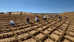 地方新闻精选 | 宁夏境内腾格里沙漠锁边全面完成 鄱阳湖通江水体面积超3000平方公里