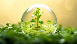 第三轮第四批中央生态环保督察完成进驻工作，受理有效举报17880件