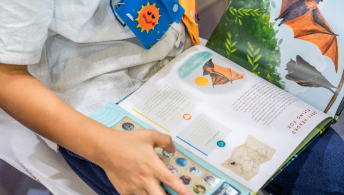 【深度】治安管理处罚法首次大修，治理校园欺凌如何形成联动？