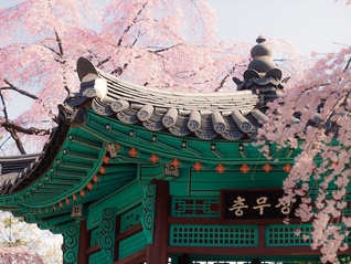 执政满月之际李在明称尽快改善韩中关系，韩国考虑无限期延长中国游客团体免签政策