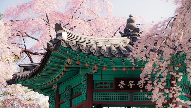 执政满月之际李在明称尽快改善韩中关系，韩国考虑无限期延长中国游客团体免签政策