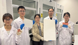 3个月完成亿年计算量，上海交大材料设计AI模型登《Nature》