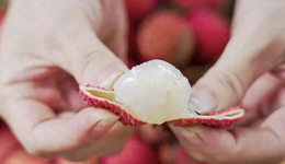 一斤2元，荔枝跌成白菜價