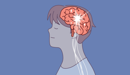 脑机接口一百年