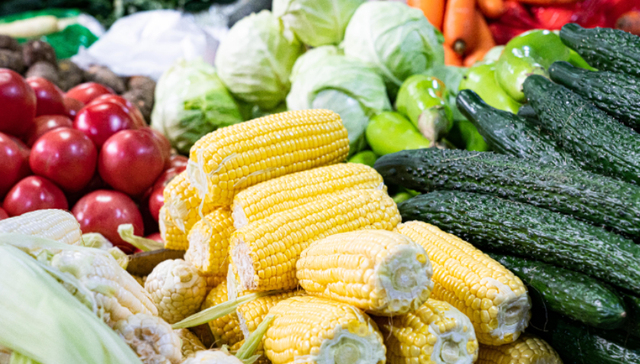 直通部委｜6月份CPI同比由降转涨0.1% 五部门联合清理非法网络招聘