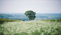 欲望的实现就是停止欲望，活在活着的那一秒气息中 | 一周新书推荐