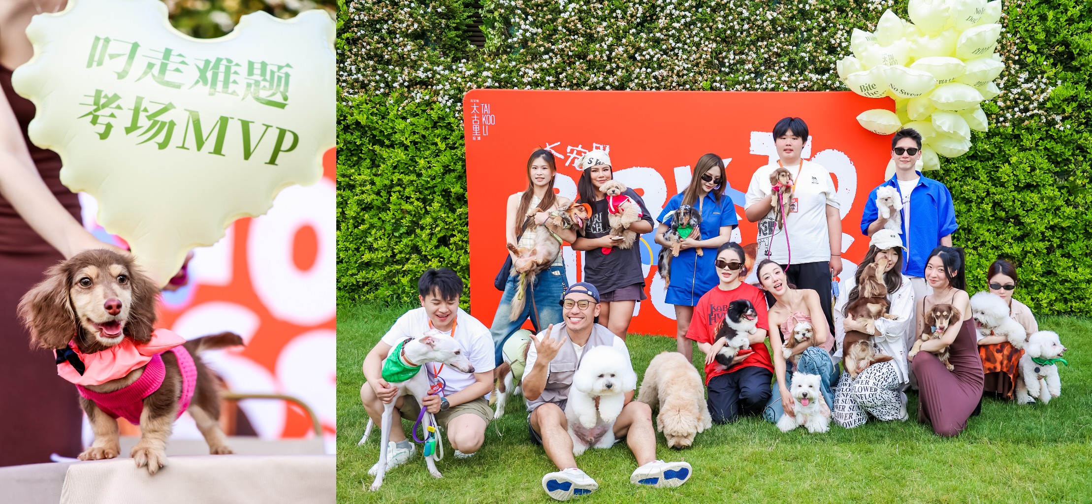 9-01前滩太古里积极联动宠物社群，持续展开多元化的宠物友好创意活动.jpg