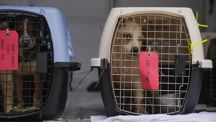 山洪频发之际防灾工程突然停工，美国20州要求联邦继续发放数十亿美元