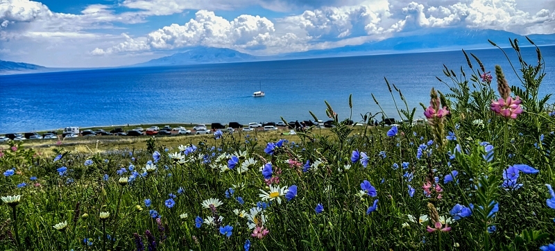 公厕被曝脏乱差，赛里木湖景区致歉：新增9处临时公厕，今日已到位