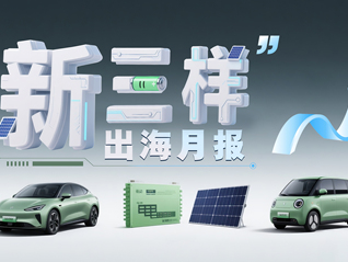 “新三样”出海月报|6月“新三样”出口表现分化，出口目的地进一步多元化