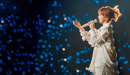 演唱会的短视频时代