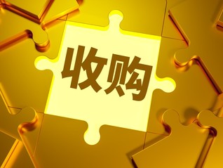 刘强东斥资185亿，想在欧洲“再造一个京东”