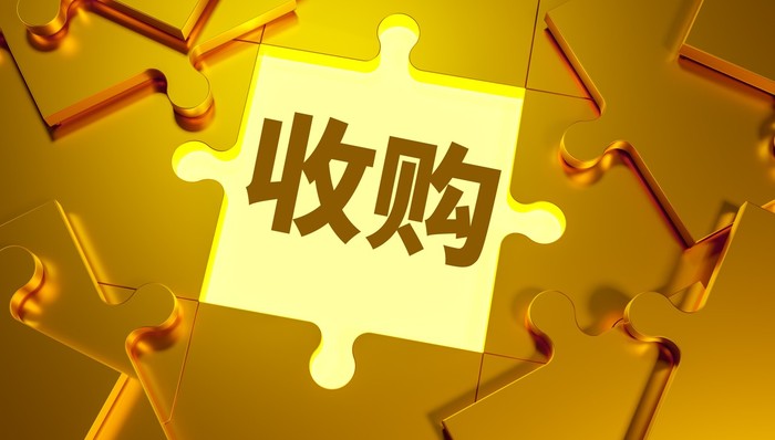 京东,收购,出海