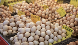 產(chǎn)能去化能力偏弱致蛋價“旺季不旺”，分析師：短期仍存在下行可能