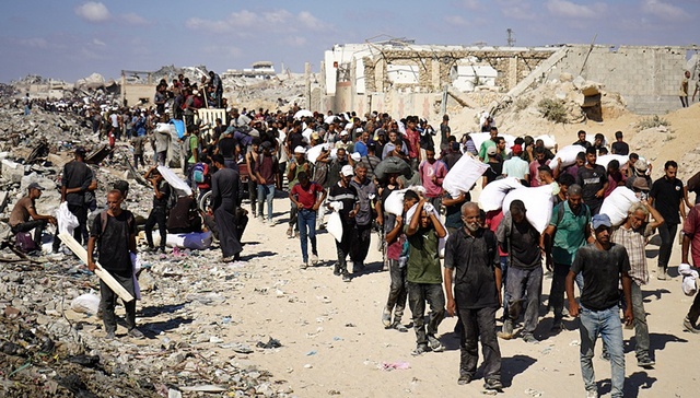 加沙,内塔尼亚胡,以色列,美国,占领,埃及,中国