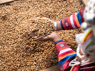 美国50%关税正式生效，巴西提前布局替代市场