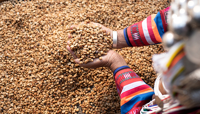 美国50%关税正式生效，巴西提前布局替代市场