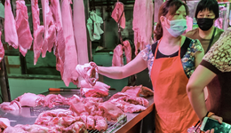 生豬產(chǎn)能偏高，農(nóng)業(yè)農(nóng)村部：引導(dǎo)調(diào)減百萬(wàn)頭能繁母豬