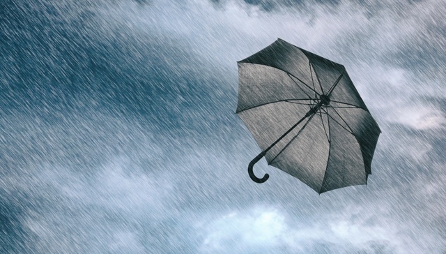 重庆市29个区县出现暴雨，全市紧急转移14784人