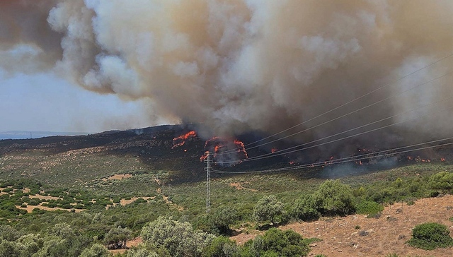 山火,高温,核电站,法国,西班牙,葡萄牙,希腊,意大利
