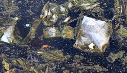 黑臭水体流入农灌区致农民无法灌溉？安徽濉溪县通报：相关负责人被停职