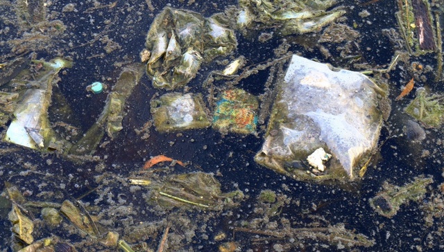 黑臭水体流入农灌区致农民无法灌溉？安徽濉溪县通报：相关负责人被停职