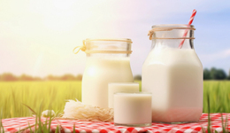 乳业巨头逐鹿B端：蒙牛伊利们掀起千亿市场争夺战