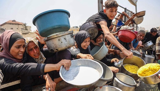 加沙,以色列,南苏丹,利比亚,索马里兰,反人类