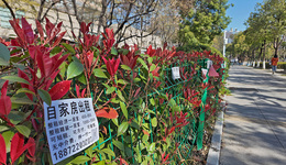 租房市场迎最强监管，备案制或终结房东“逃税时代”