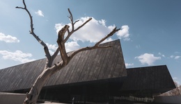 地方新聞精選 | 侵華日軍第731部隊(duì)細(xì)菌戰(zhàn)新罪證史料公布 香格里拉首次拍到金錢豹影像